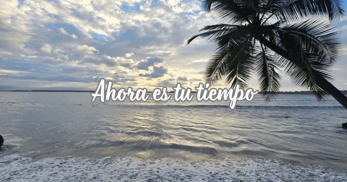 Ahora es tu tiempo. Cielo y mar junto a una palmera.